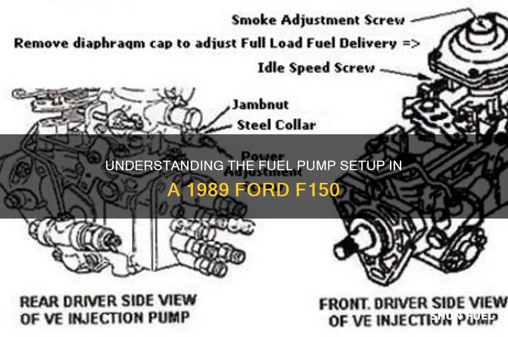 how many fuel pumps does a 1989 ford f150 have