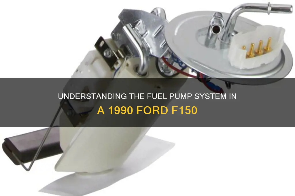 how many fuel pumps does a 1990 f150 have