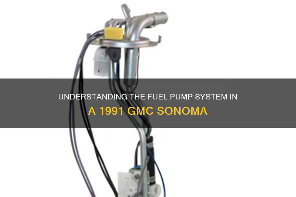 how many fuel pumps does a 1991 gmc sonoma have