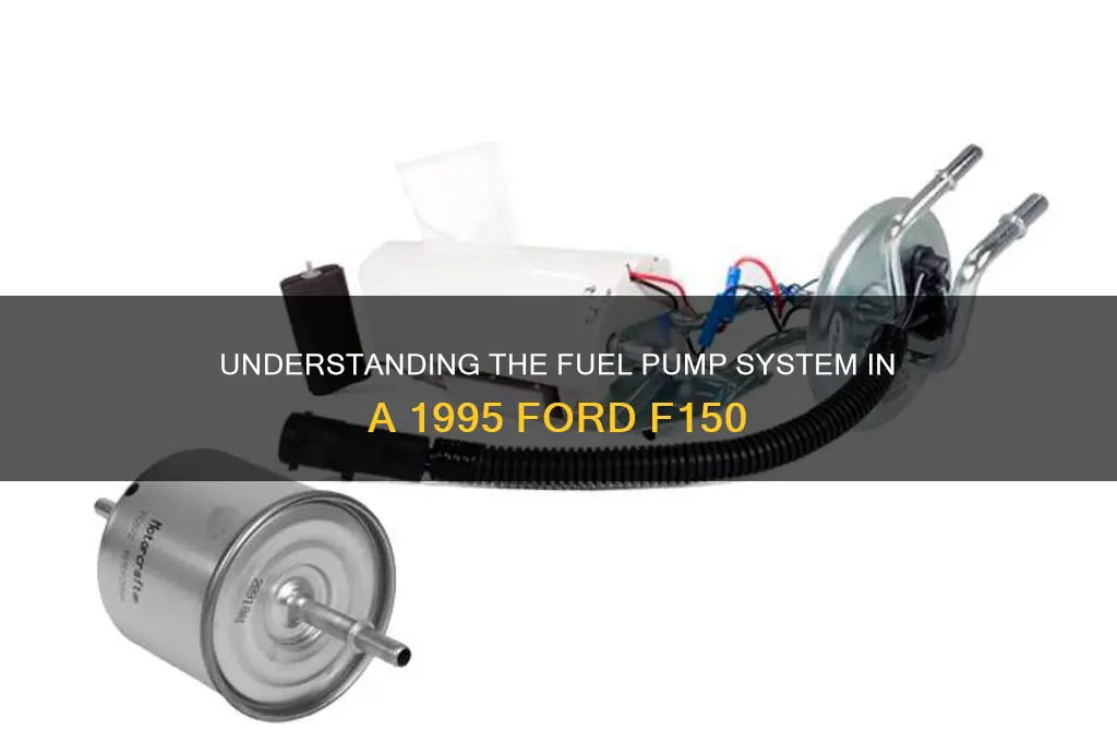 how many fuel pumps does a 1995 ford f150 have