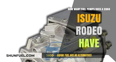 2004 Isuzu Rodeo Fuel Pump Count: What You Need to Know