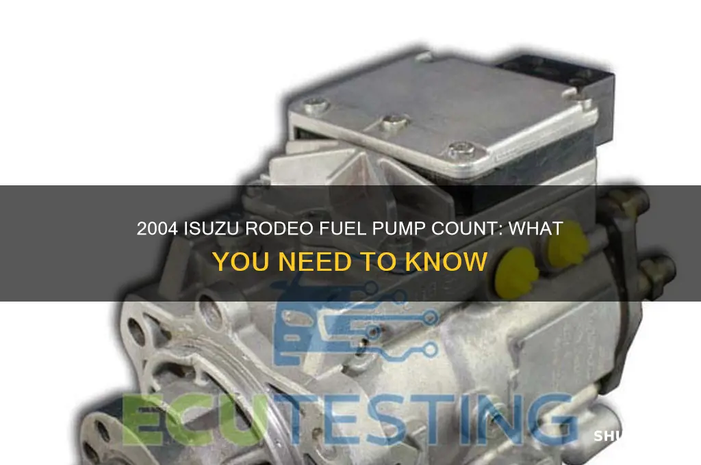 how many fuel pumps does a 2004 isuzu rodeo have