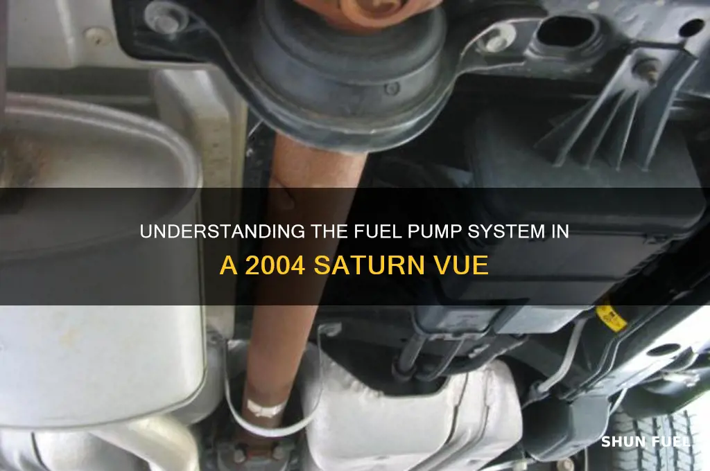 how many fuel pumps does a 2004 saturn vue have