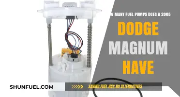 Dodge Magnum 2005 Fuel Pump Count: What You Need to Know