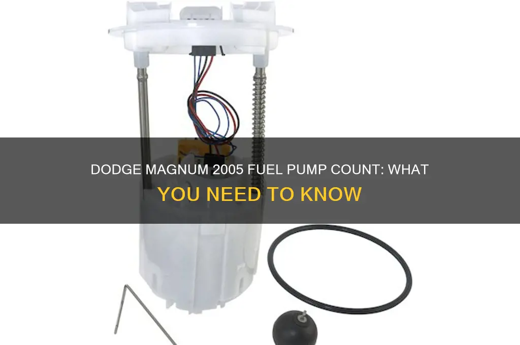how many fuel pumps does a 2005 dodge magnum have
