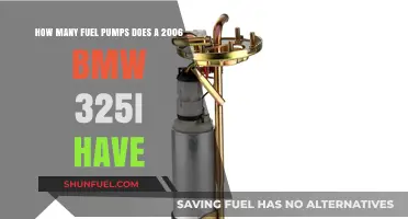 BMW 325i Fuel Pump Count: 2006 Model Explained