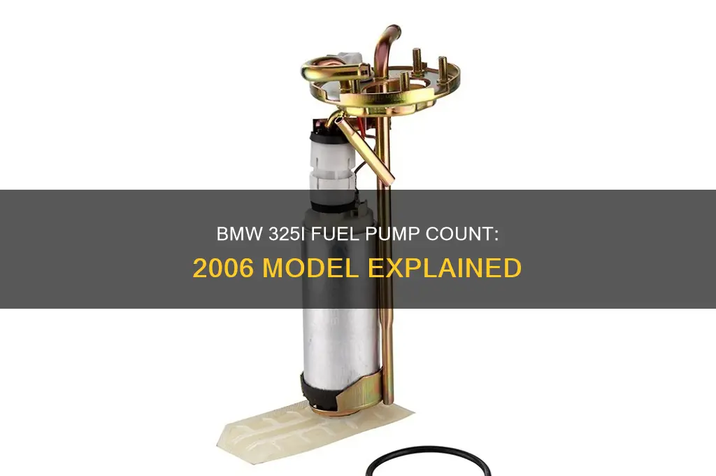 how many fuel pumps does a 2006 bmw 325i have