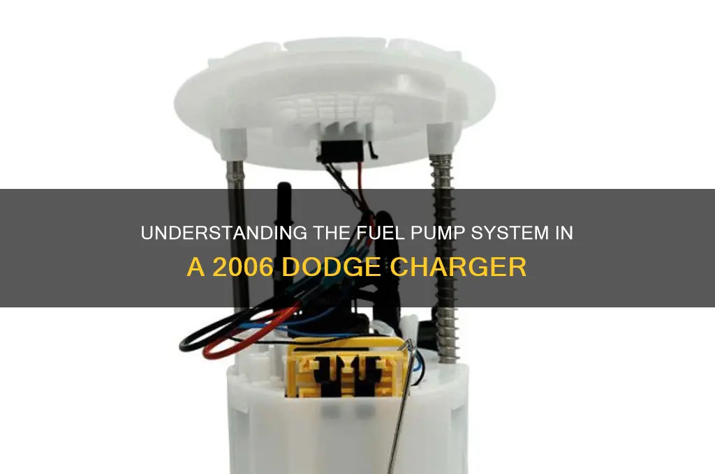 how many fuel pumps does a 2006 dodge charger have