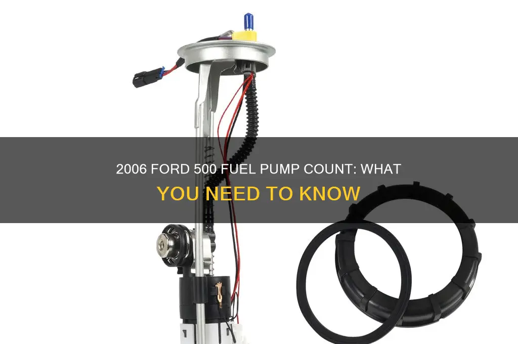 how many fuel pumps does a 2006 ford 500 have