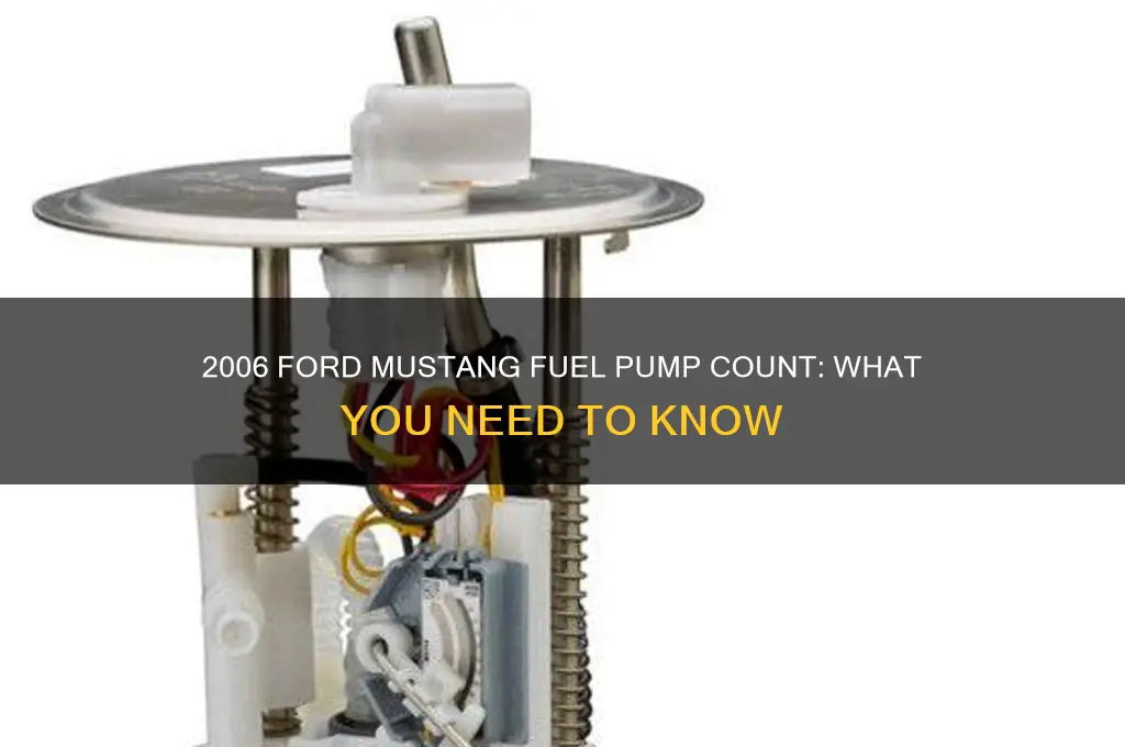 how many fuel pumps does a 2006 ford mustang have