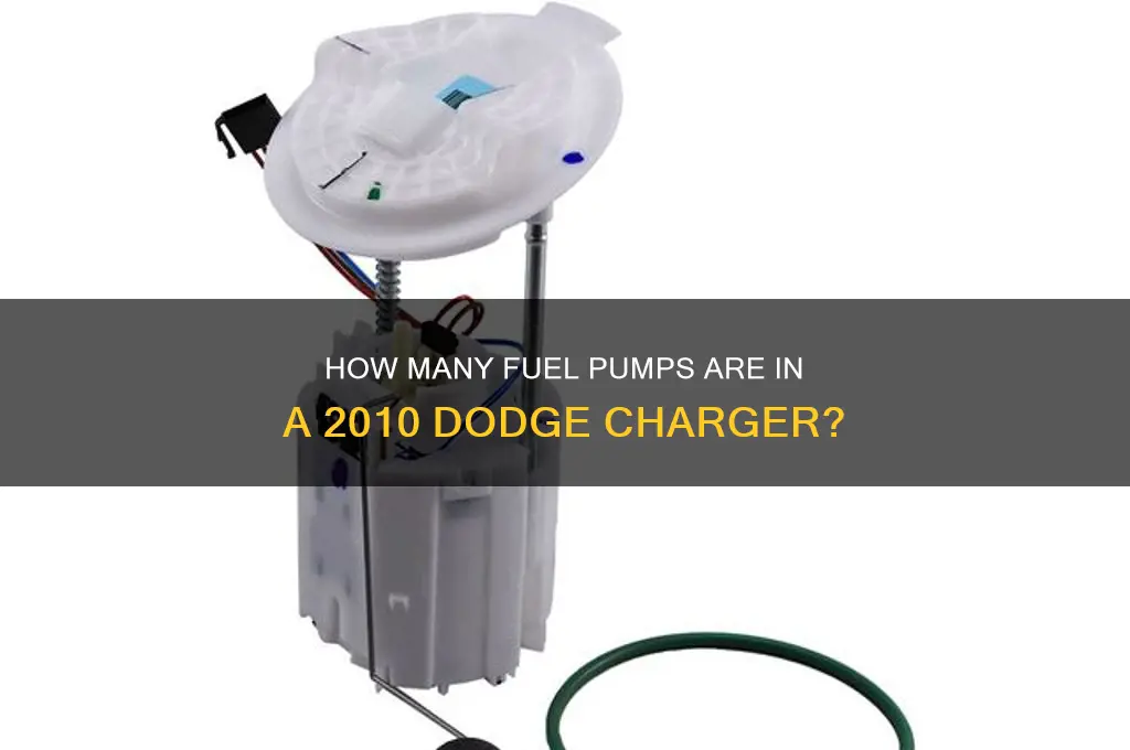 how many fuel pumps does a 2010 dodge charger have