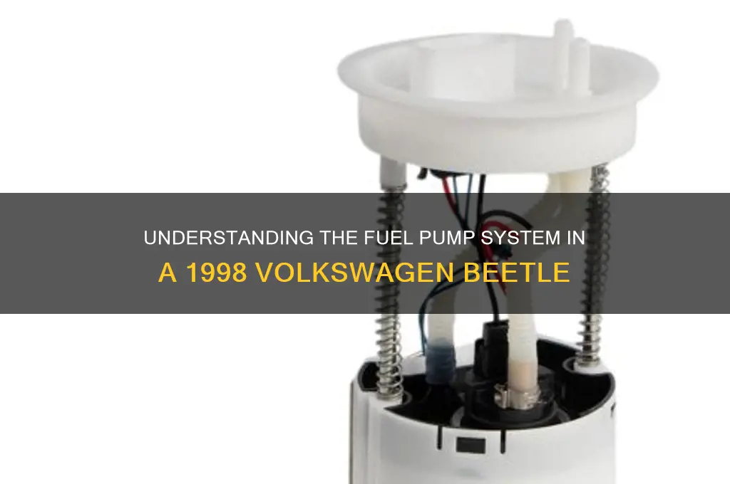 how many fuel pumps does a 98 beetle have