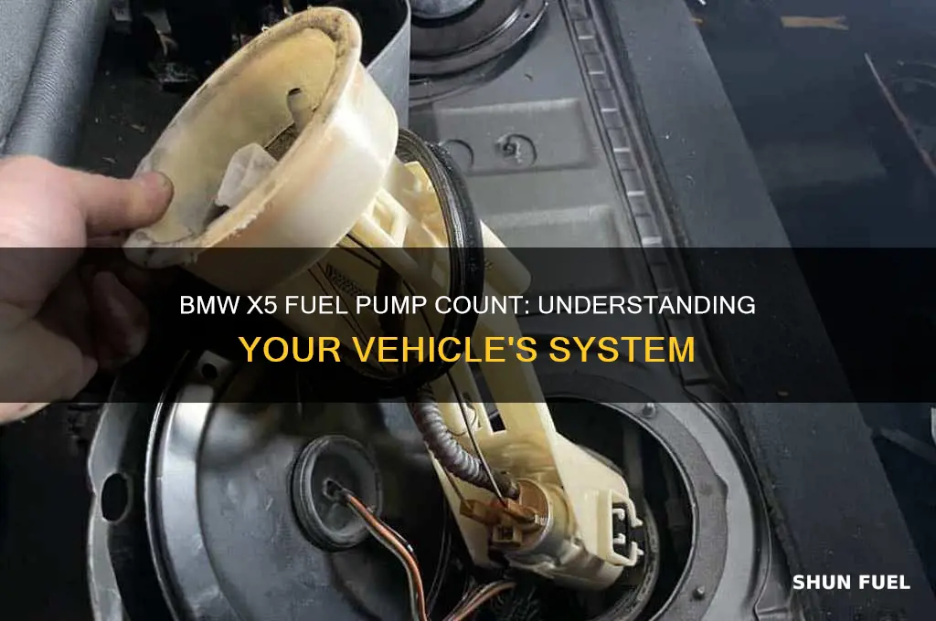 how many fuel pumps does a bmw x5 have