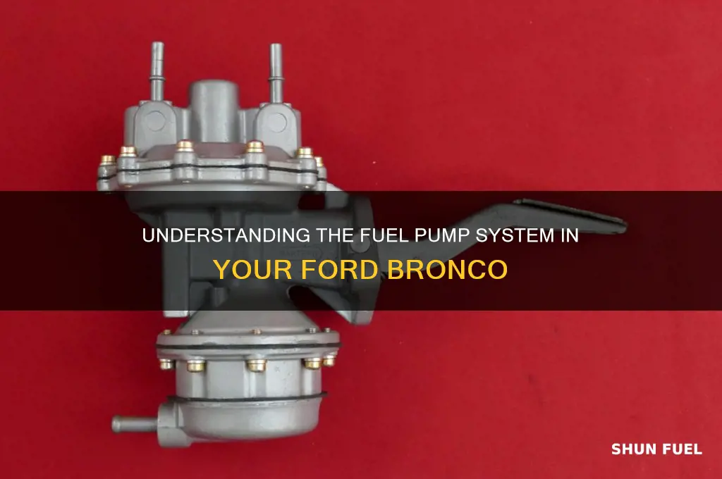 how many fuel pumps does a bronco have