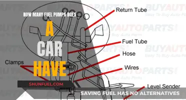 Understanding Car Fuel Pump Systems: More Than One?