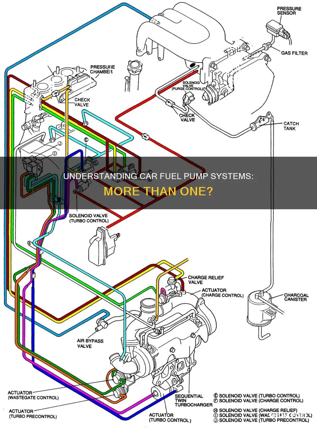 how many fuel pumps does a car have