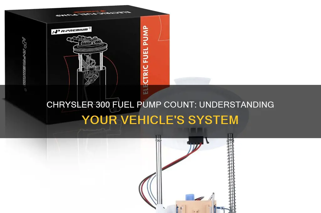 how many fuel pumps does a chrysler 300 have