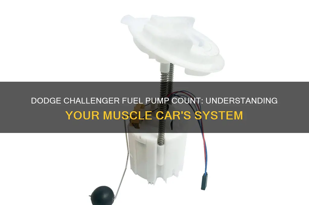 how many fuel pumps does a dodge challenger have