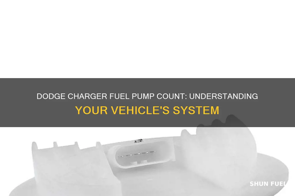how many fuel pumps does a dodge charger have