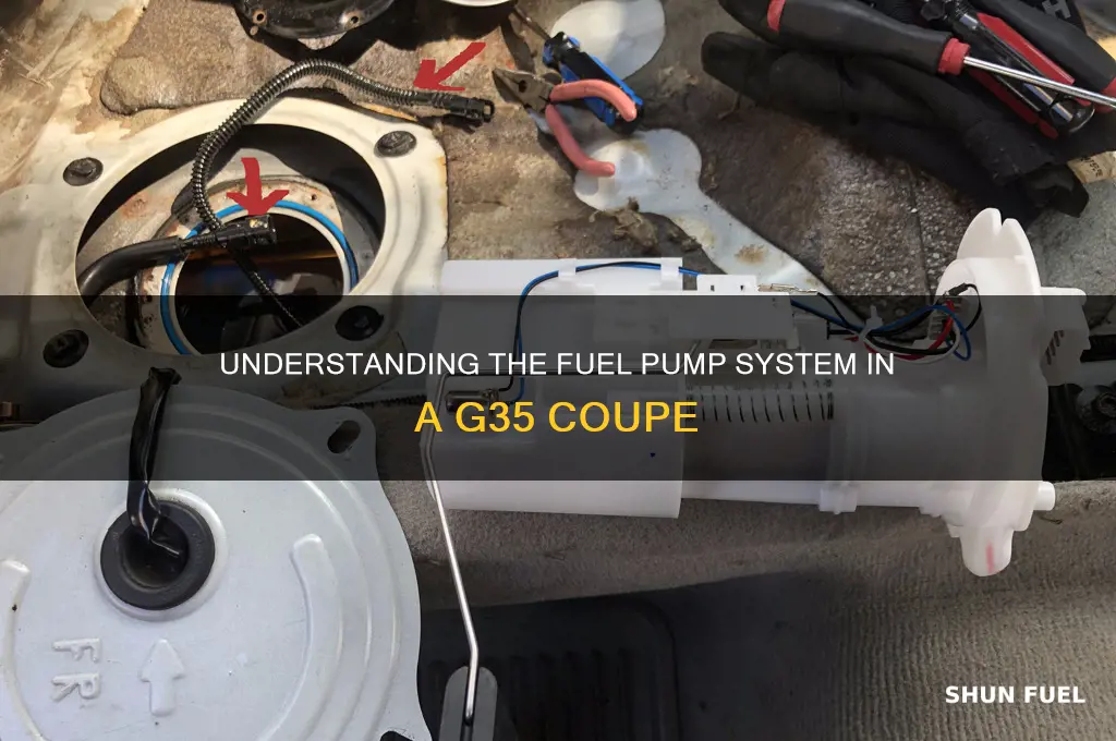 how many fuel pumps does a g35 coupe have