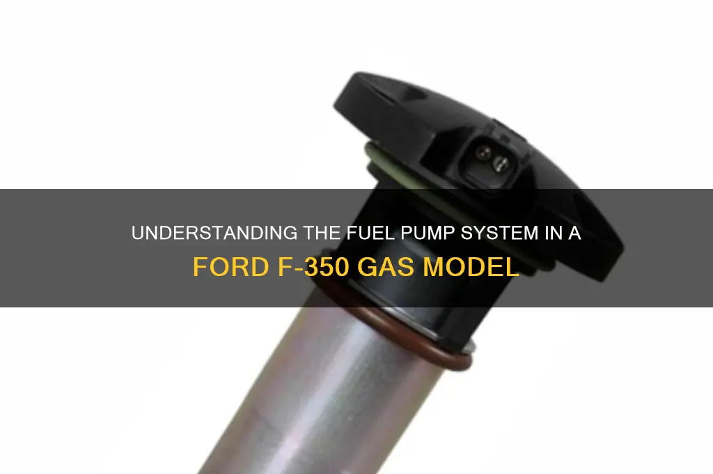 how many fuel pumps does a gas f 350 have