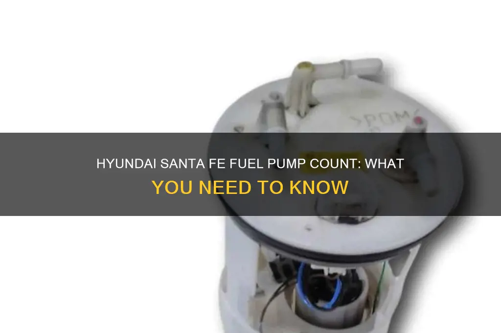 how many fuel pumps does a hyundai santa fe have