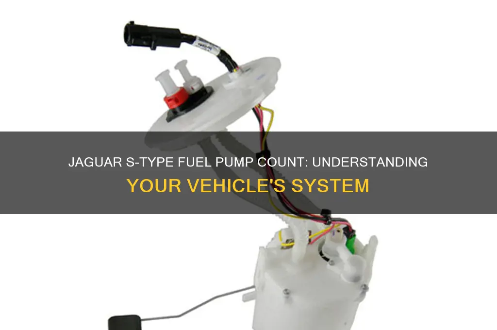 how many fuel pumps does a jaguar s type have