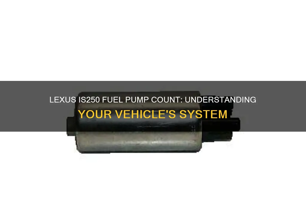 how many fuel pumps does a lexus is250 have