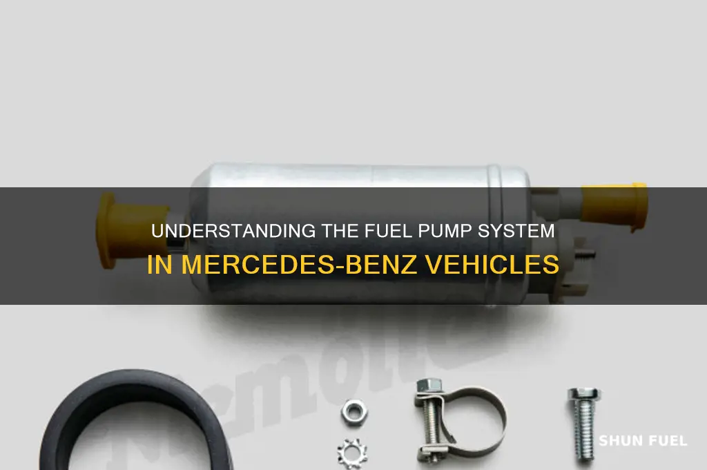 how many fuel pumps does a mercedes have