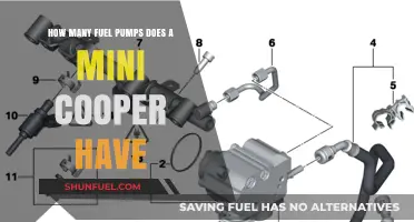 Understanding the Fuel Pump System in a Mini Cooper