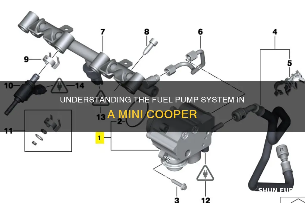 how many fuel pumps does a mini cooper have