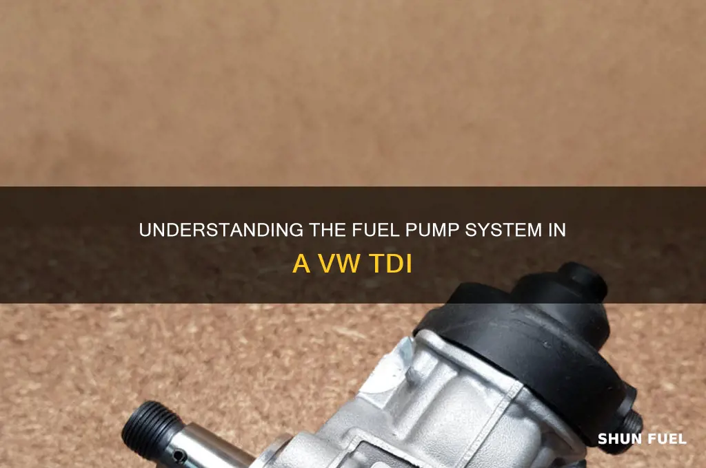 how many fuel pumps does a vw tdi have