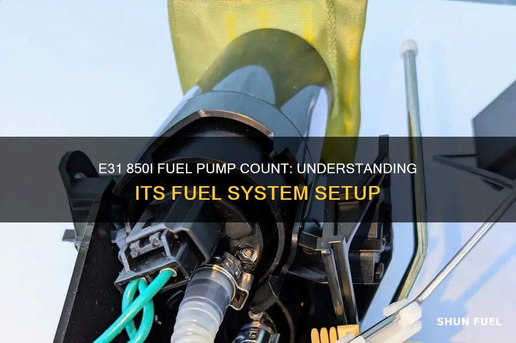 how many fuel pumps does an e31 850i have