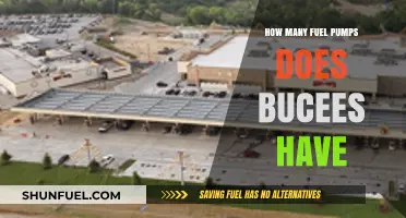 How Many Fuel Pumps Does Buc-ee's Have? The Answer Revealed