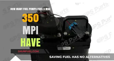 Understanding the Fuel Pump Setup in a Mag 350 MPI Engine