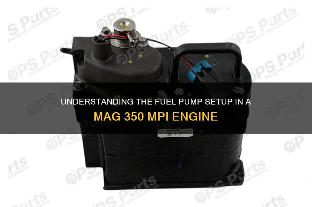 how many fuel pumps foes a mag 350 mpi have