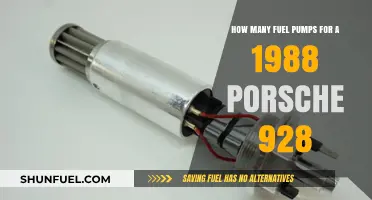 Fuel Pump Setup for a 1988 Porsche 928: How Many?