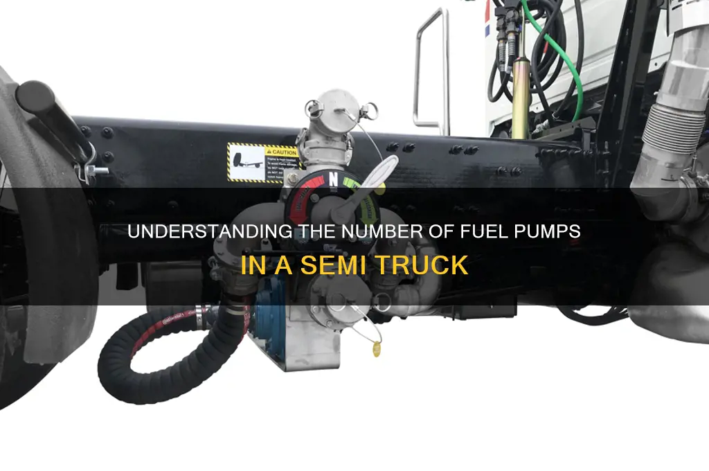 how many fuel pumps has semi truck