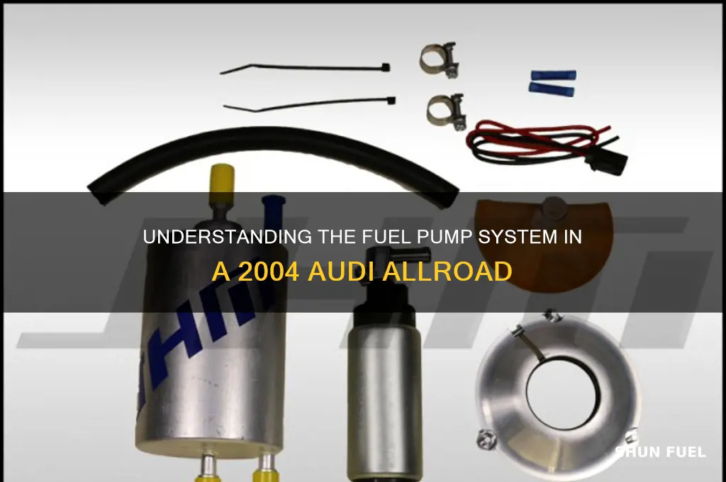 how many fuel pumps in 04 audi allroad
