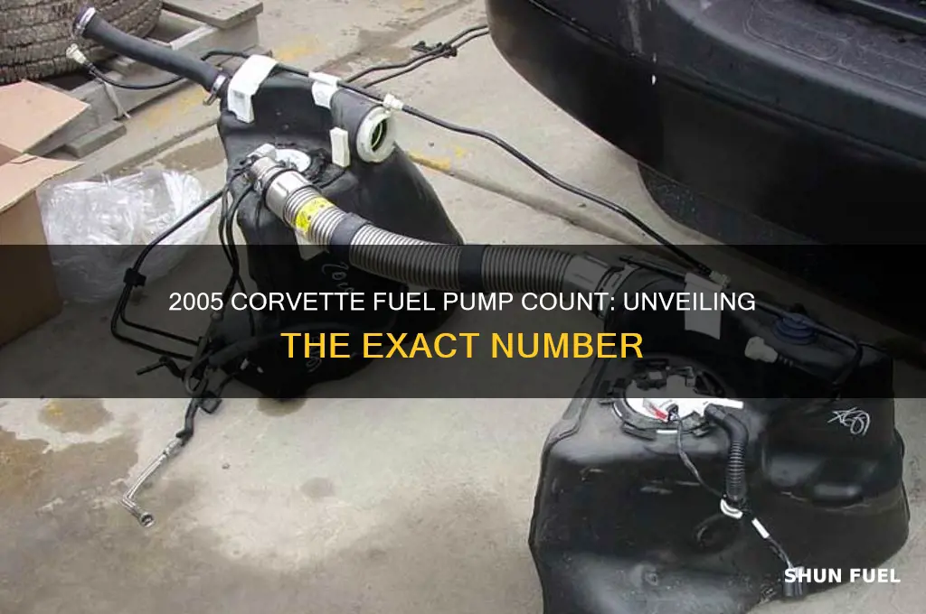 how many fuel pumps in 2005 corvette