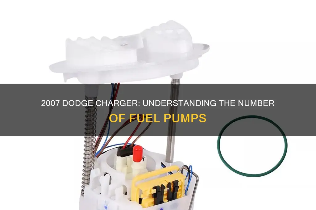 how many fuel pumps in 2007 charger