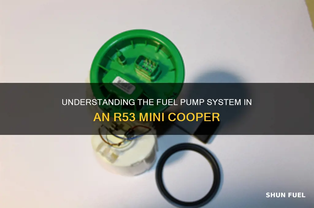 how many fuel pumps in a r53 mini cooper