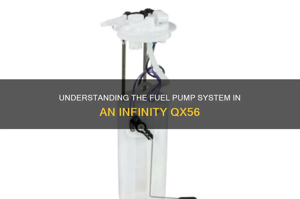 how many fuel pumps in an infifnity qx56