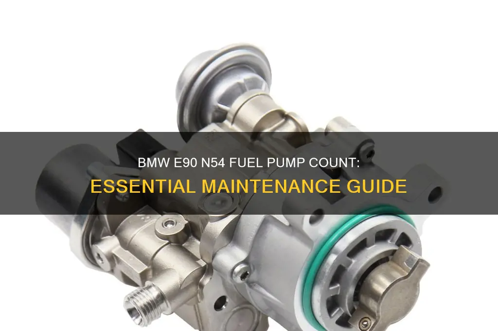 how many fuel pumps in bmw e90 n54