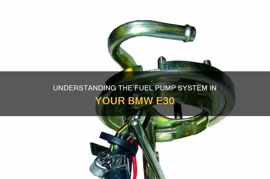 how many fuel pumps in e30