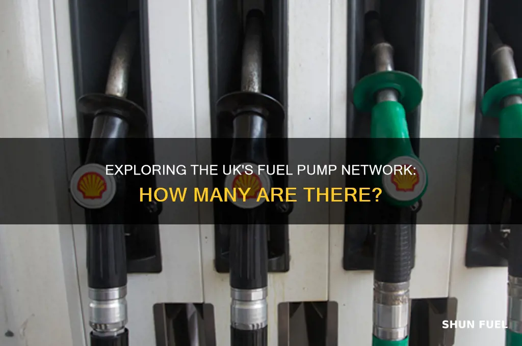 how many fuel pumps in the uk