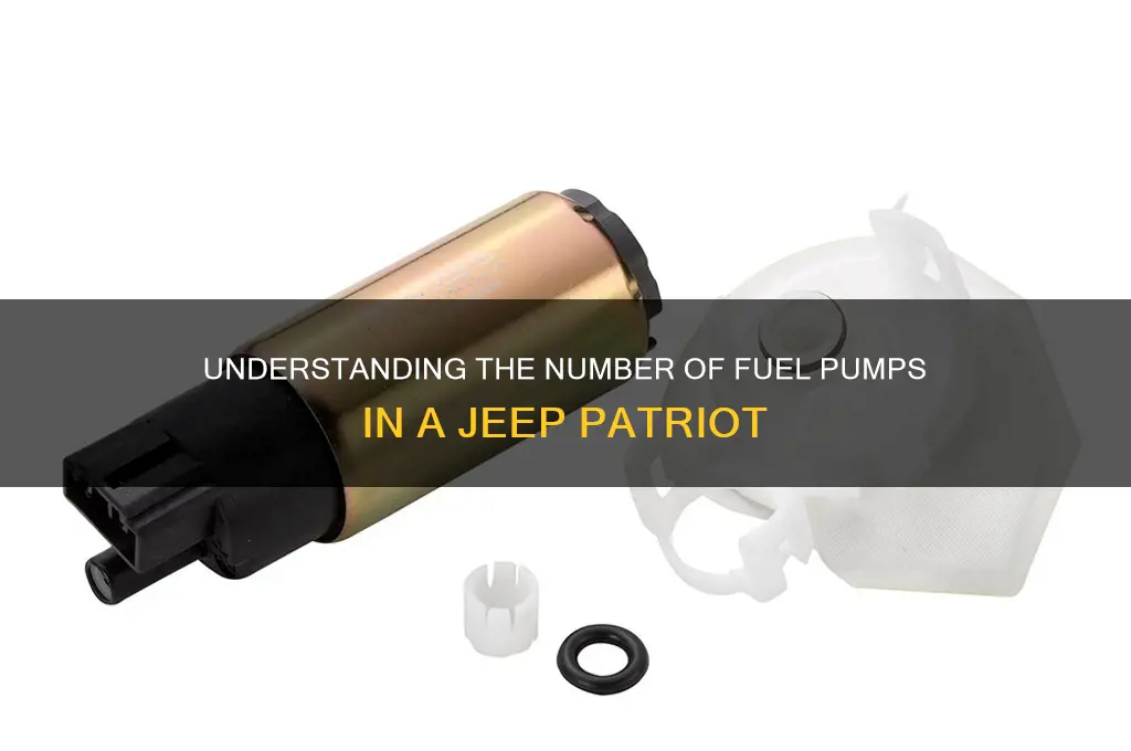 how many fuel pumps jeep patriot