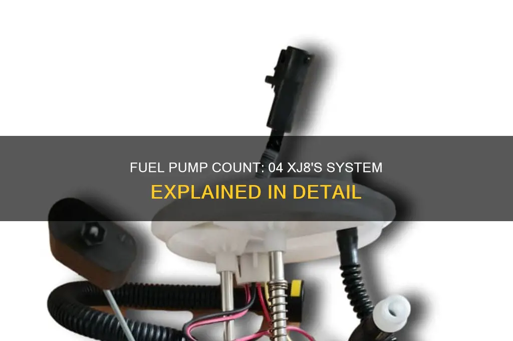 how many fuel pumps on 04 xj8