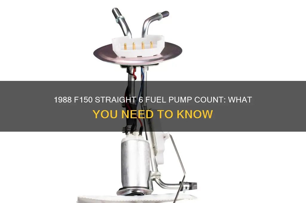 how many fuel pumps on a 1988 f150 straight 6