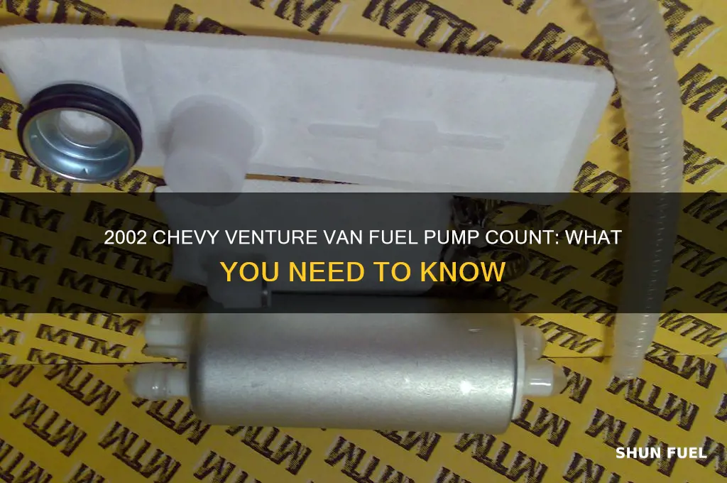how many fuel pumps on a 2002 chevy venture van